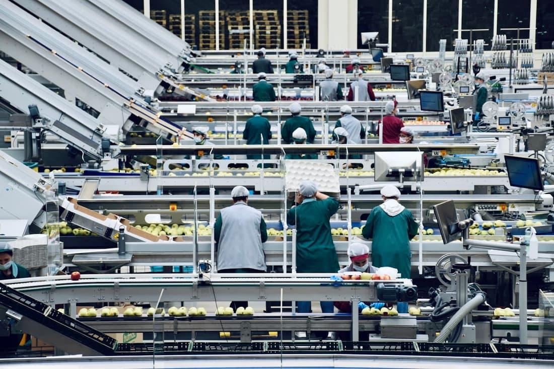 PME agroalimentaires de transformation