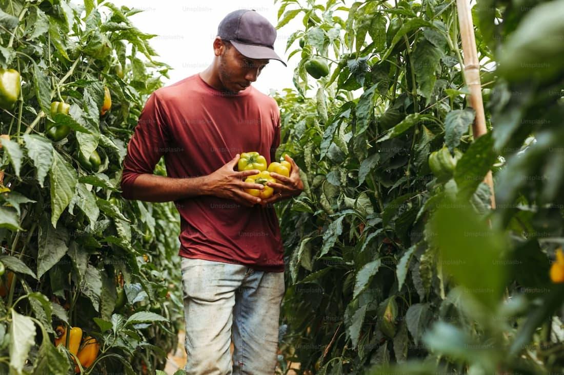 Prestataires de travaux agricoles